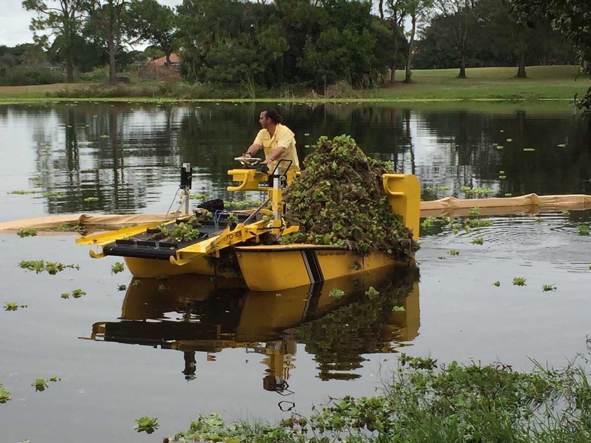 Pond Weed Control Lake Weeds Removal Aquatic weed cutters