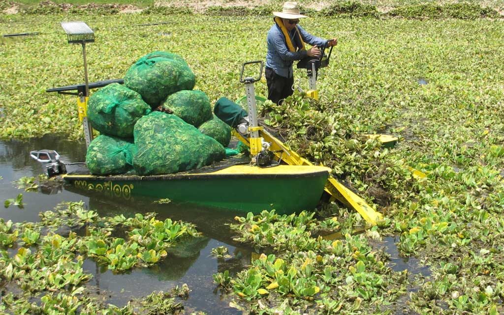 Pond Weed Control Lake Weeds Removal Aquatic weed cutters